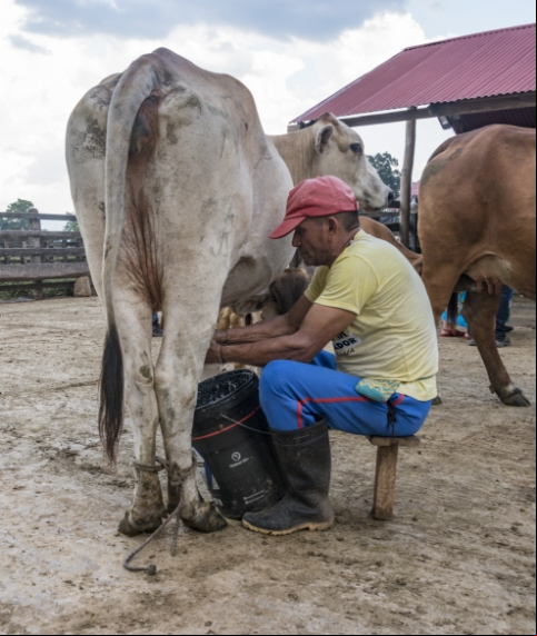 LOS PROYECTOS SOCIALES Y AMBIENTALES EN LA GUAJIRA